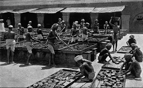 Sömürge dönemi İngilizler için çalışan Hintli işçiler