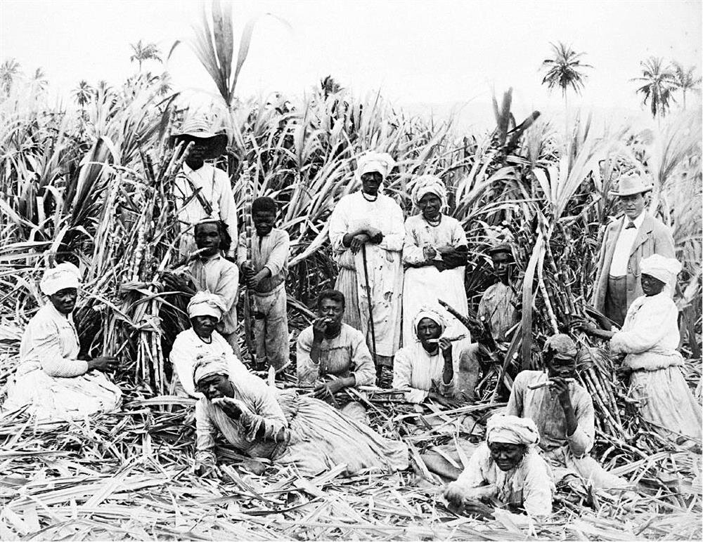 Plantasyonlarda üretim köleler tarafından yapılırdı.